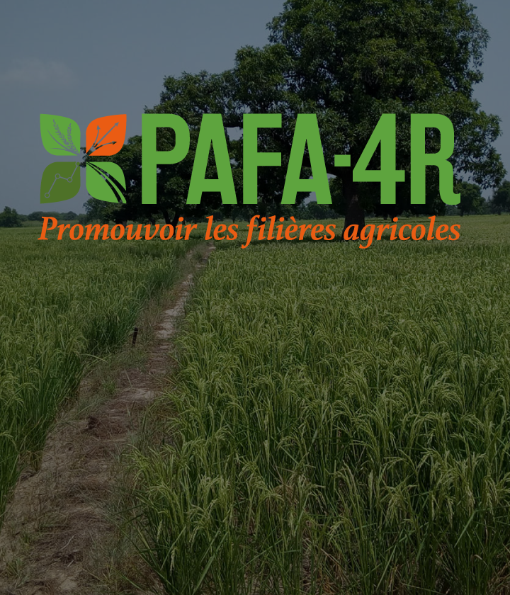 PROJET PAFA-4R